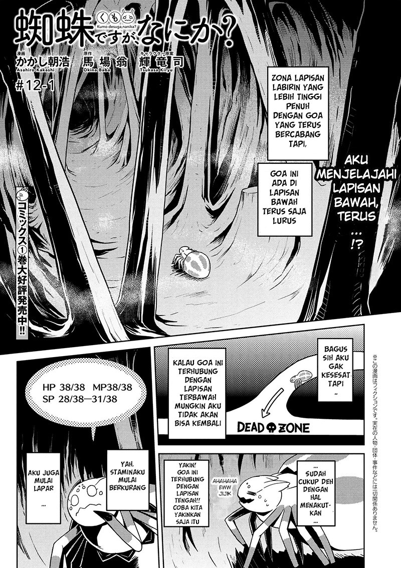 Kumo desu ga, Nani Ka?